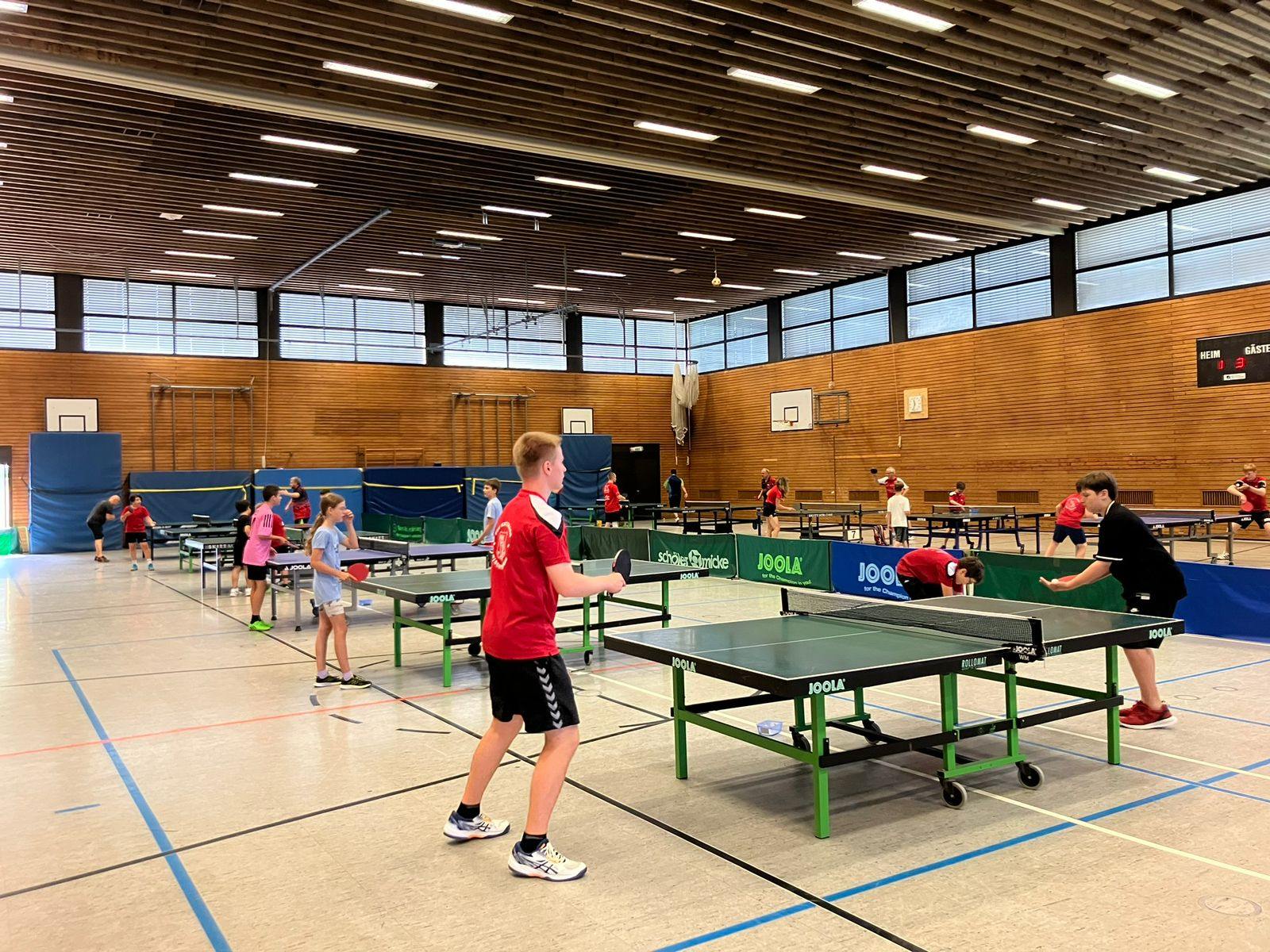 Halle Gesamtansicht 2